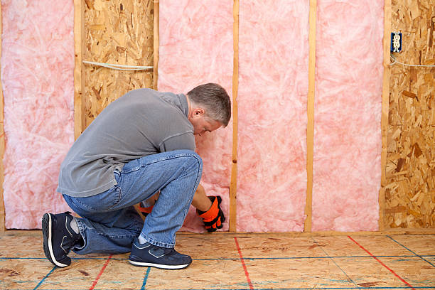 Best Basement Insulation  in Creston, IA